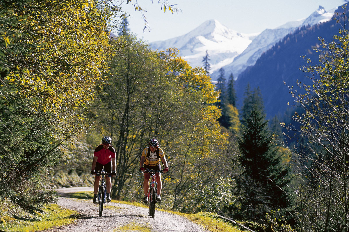 Koenigsleiten Sommer Mountainbike Wald