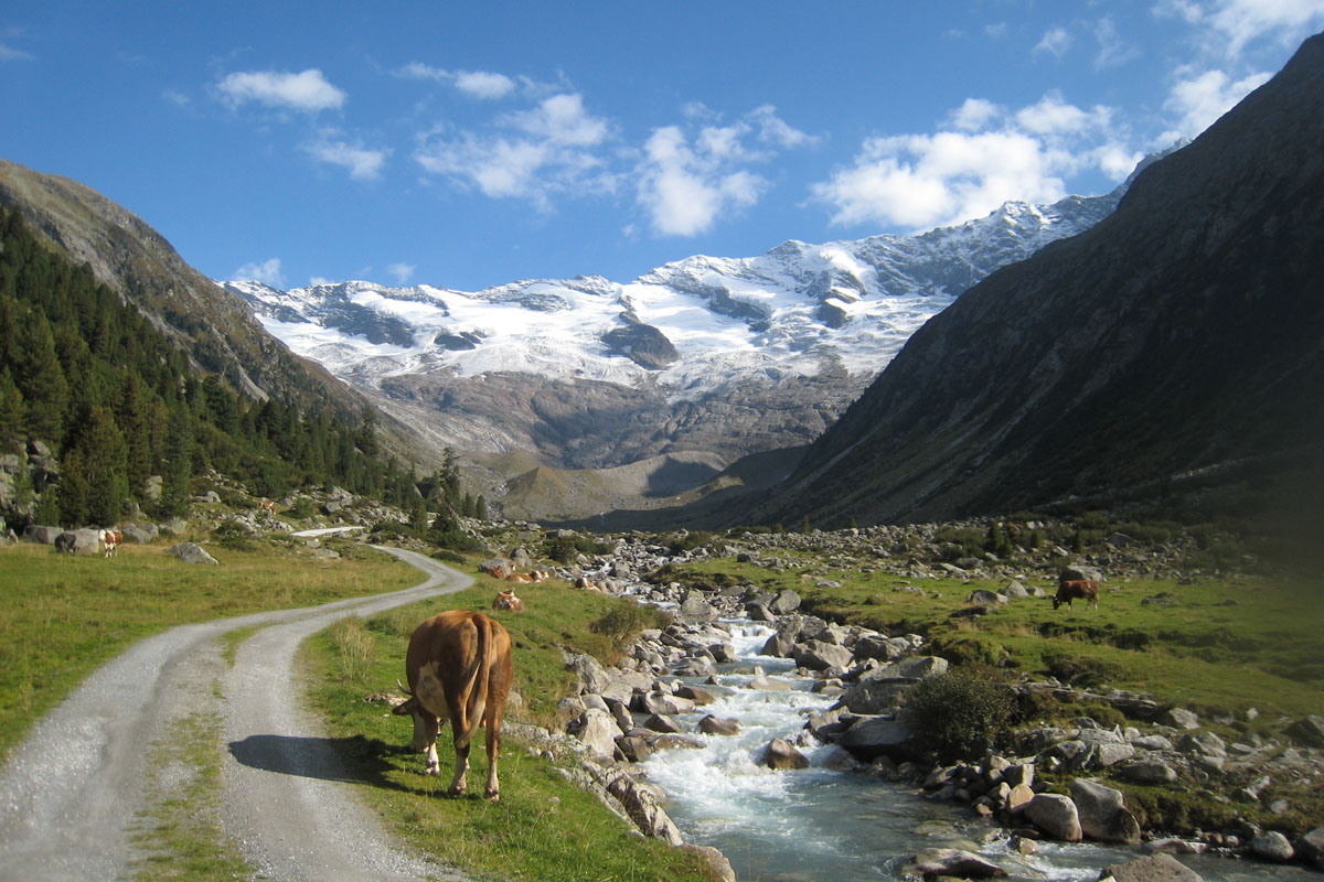 Nationalpark Hohe Tauern Sommer Almbach